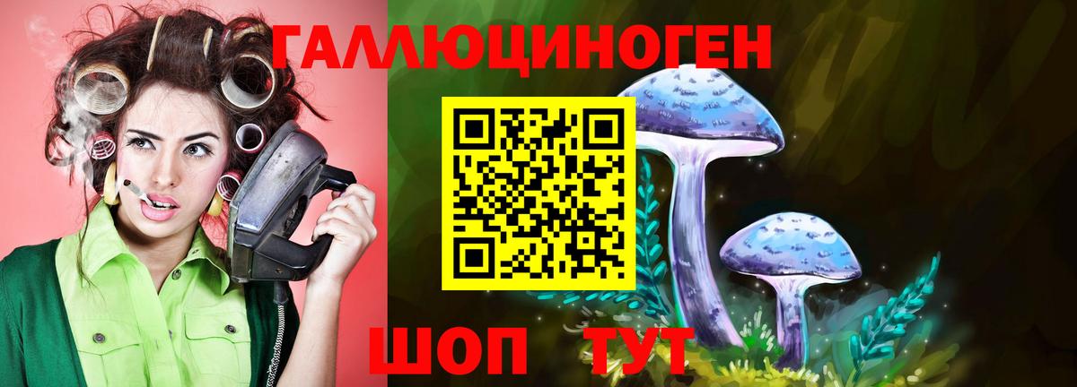 Псилоцибиновые грибы Cubensis  Псилоцибиновые грибы Psilocybine cubensis  Вход с VPN  Минеральные Воды 